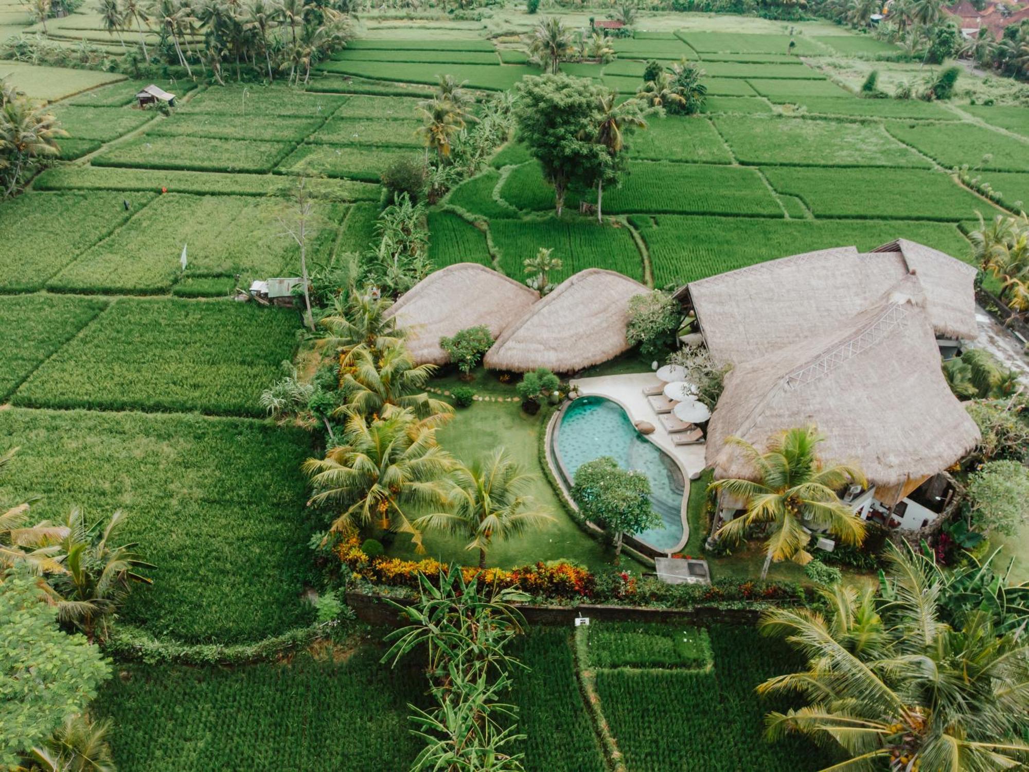 Villa Omah Padi Ubud المظهر الخارجي الصورة