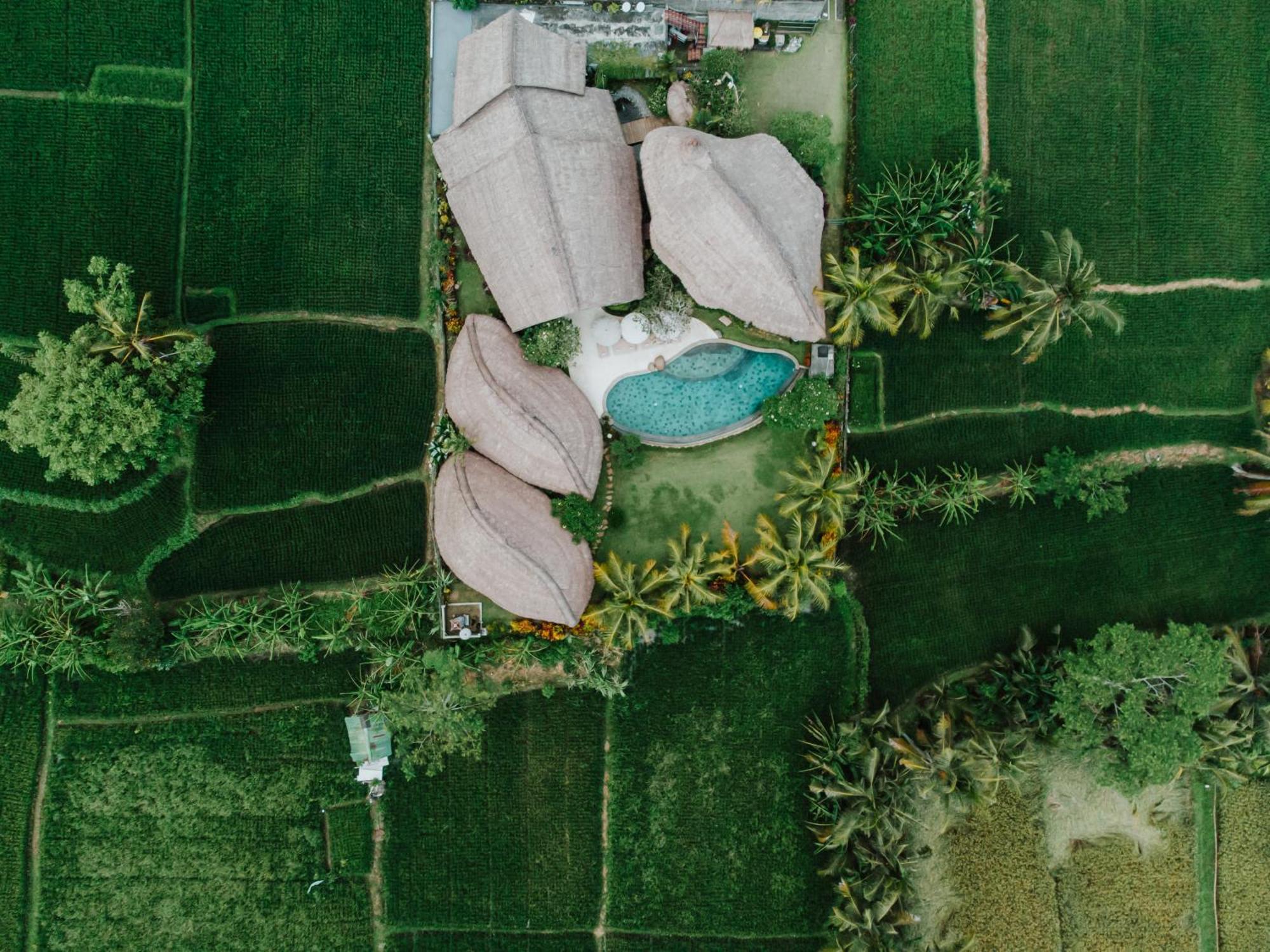 Villa Omah Padi Ubud المظهر الخارجي الصورة